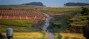 A road crossing a shallow valley with cyclists on it.