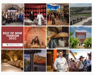 Best Of Bilbao Rioja Wine Tourism collage