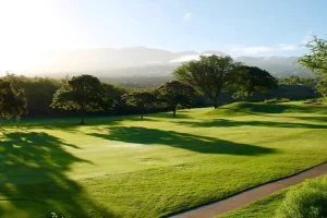 Golf course