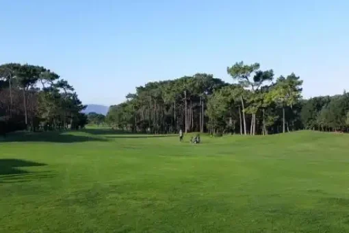 Neguri golf course