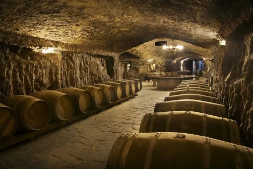 A Wine Cellar in the Rioja region